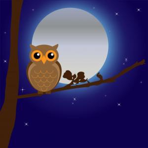 owl-by-moonlight