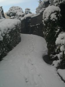snowypath
