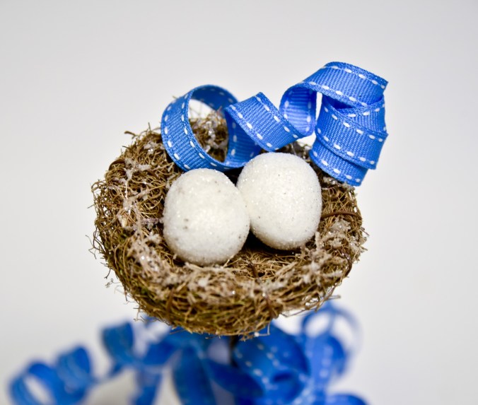 birds-nest-and-blue-ribbon