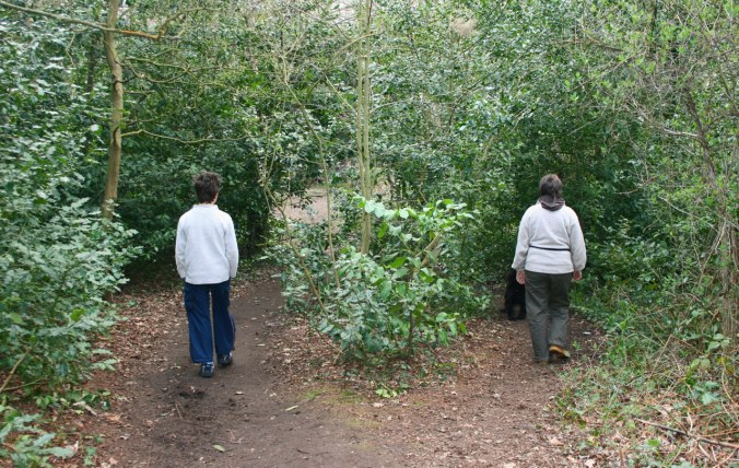 separate-paths-29941281454668Ush8