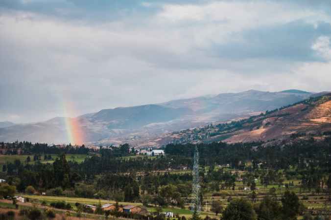 green trees and mountain